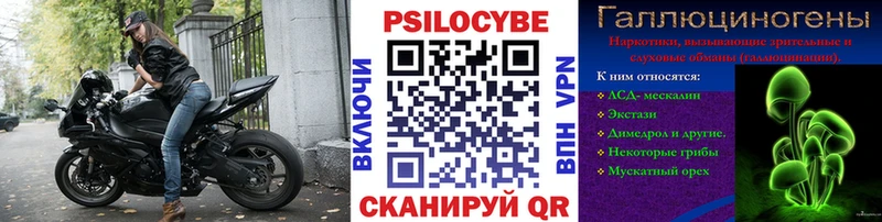 omg онион  Сердобск  Псилоцибиновые грибы Psilocybe 