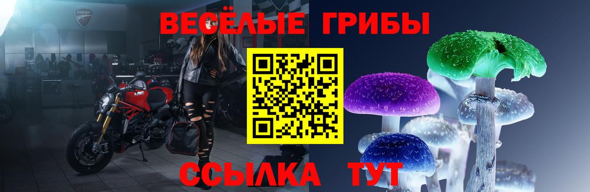 Сердобск  закладки  Вход с VPN  Псилоцибиновые грибы мухоморы 